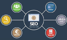 中山网站SEO 优化  推广